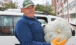 Yozgat’ta Bal kabağı satışları başladı.