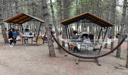 Ankara'nın Yeni Piknik Cenneti! Her Mevsim Piknik Keyfi İçin Park Ankara'ya Akın Edin