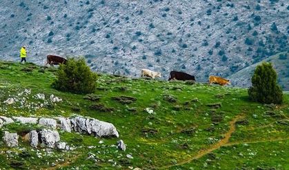 Akdağmadeni Her Mevsim Bir Başka Güzel!