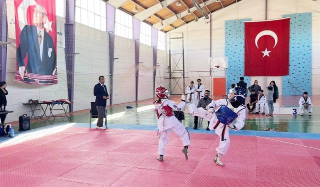 Yozgat'ta 80 Sporcu 29 Ekim Taekwondo Turnuvasında!