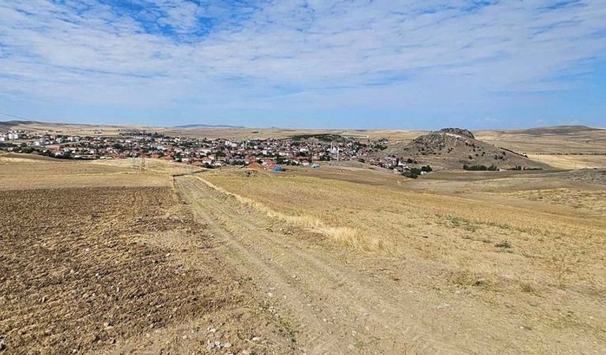 Saraykent’te Tarlalar Sarının BinBir Tonuna Büründü!